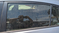 2011 - 2017 Subaru XV I GP Left Rear Door Glass