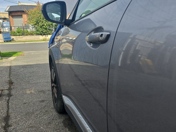 2017 Peugeot 3008 P84 - Left Front Door