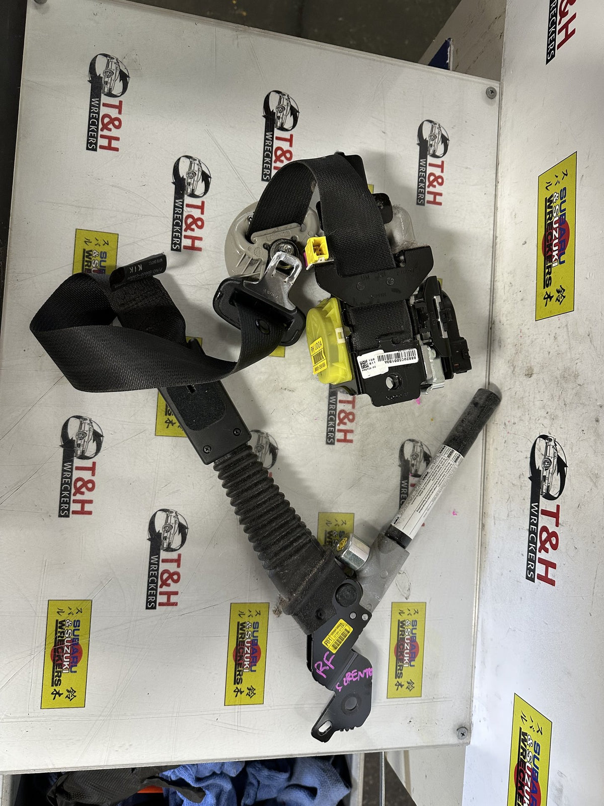 2016 Kia Sorento UM C5W7J561F - Right Front Seat Belt